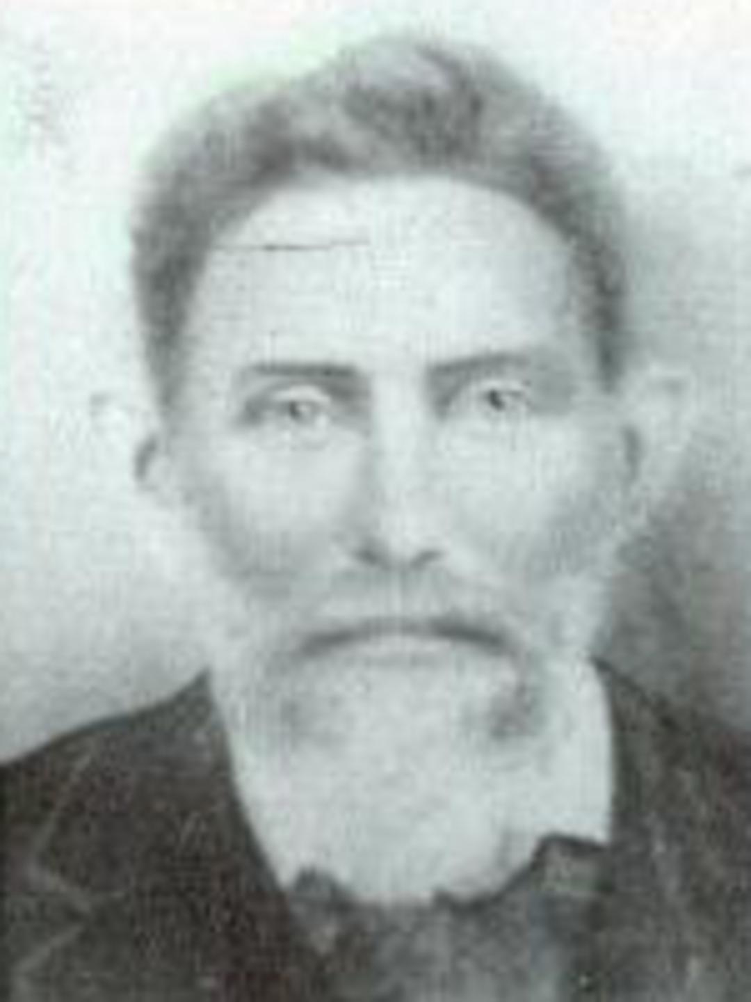 Ammon Harmon (1837 - 1902) Profile